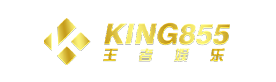 Footer Provider King855